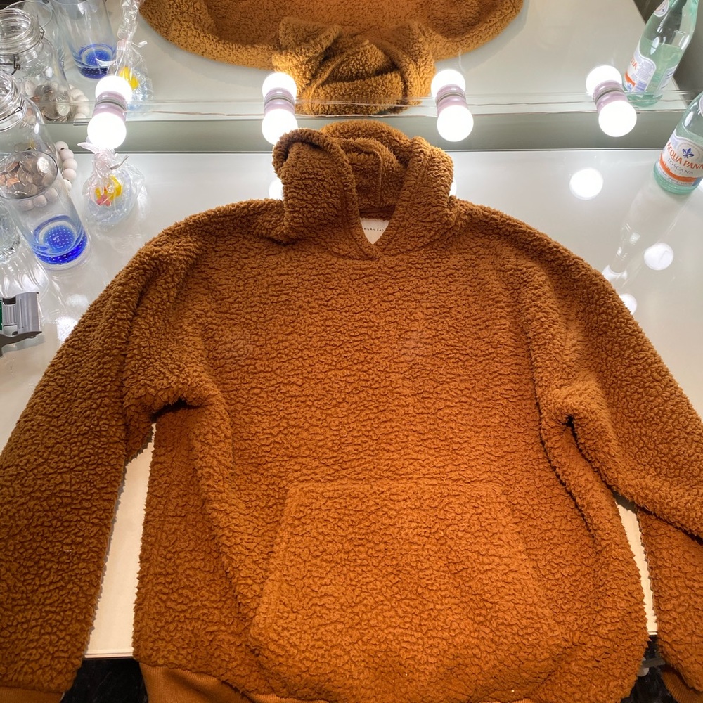 American Eagle teddy hoodie